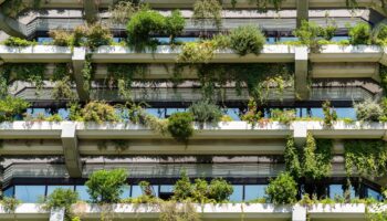 Begrünte Balkone an Wohnhaus | Dachbegrünung